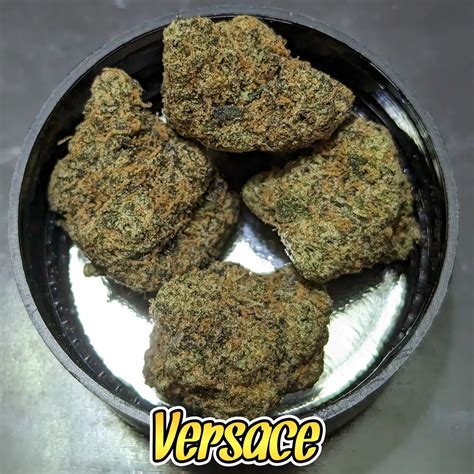 versace kush|Versace Strain Review .